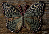 <strong>Valesina (The Silver-washed Fritillary), </strong> a detail 2010<br />
<em>Size:</em> 32,2 x 12,2 x 2,2 cm<br />
<em>Technique:</em> hand embroidery, tarring, painting<br />	
<em>Material:</em> silk, wood