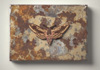 <strong>Privet Hawk Moth</strong>, 2011<br />
<em>Size:</em> 10,5 x 15,5 x 1,5 cm<br />
<em>Technique:</em> hand embroidery, mixed media<br />	
<em>Material:</em> silk threads, metal