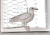 <strong>Glaucous Gull</strong>, 2017,  Collection of Handicraft Museum of Finland, Jyväskylä<br />
<em>Size:</em> 48 x 33,7 x 7,2 cm<br />
<em>Technique:</em> hand embroidery, machine embroidery, mixed media<br />	
<em>Material:</em> silk threads, viscose threads, line, bream scales, pearls, mirror, glass cabinet