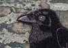 <strong>Raven, a detail</strong>, 2015<br />
<em>Size:</em> 27 x 98,5 cm<br />
<em>Technique:</em> hand embroidery, mixed media<br />	
<em>Material:</em> silk threads, old mirror, wood, oil colour<br />	
private collections